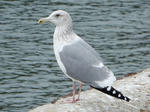 20200224g.JPG