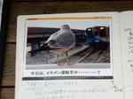 20200223h.JPG