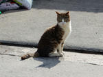 20200304e.JPG