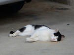 20200309g.JPG