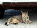 20200309h.JPG