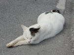 20200310b.JPG