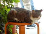 20200311j.JPG
