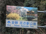 20200318h.JPG