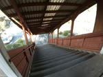 20200329d.JPG