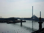 20200419b.JPG
