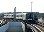20200419e.JPG