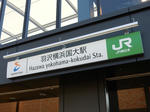 20200424f.JPG