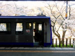 20200421j.JPG