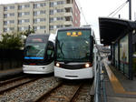 20200505c.JPG