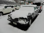 20200508c.JPG