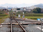 20200512f.JPG
