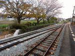 20200512h.JPG