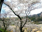 20200514b.JPG