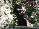 20200516d.JPG