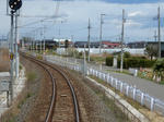 20200524c.JPG