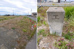 20200526b.JPG