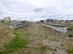 20200526g.JPG