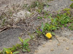 20200526i.JPG