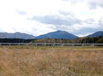 20200529d.JPG
