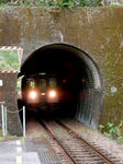 20200531f.JPG