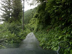 20200806g.JPG