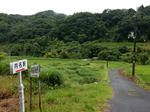 20200806h.JPG