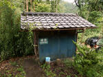 20200807g.JPG