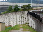 20200903j.JPG