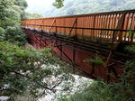 20200904c.JPG