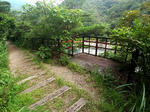 20200906d.JPG