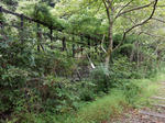 20200906e.JPG