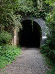 20200906g.JPG