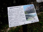 20200908i.JPG