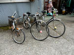 20201023d.JPG