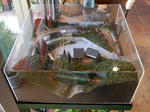 20201026c.JPG