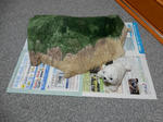 20201019e.JPG