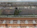 20201030c.JPG