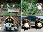 20201107f.JPG