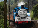 20201108f.JPG