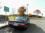 20201201f.JPG