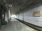 20210117a.JPG