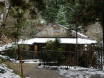 20210202f.JPG
