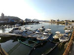 20210302g.JPG