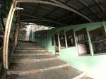 20210304f.JPG
