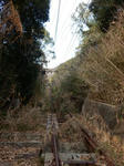 20210304i.JPG
