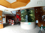 20210311f.JPG