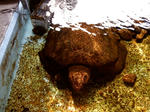 20210312f.JPG