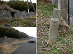 20210316e.JPG