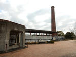 20210320f.JPG